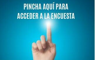 AccesoEncuestaIA